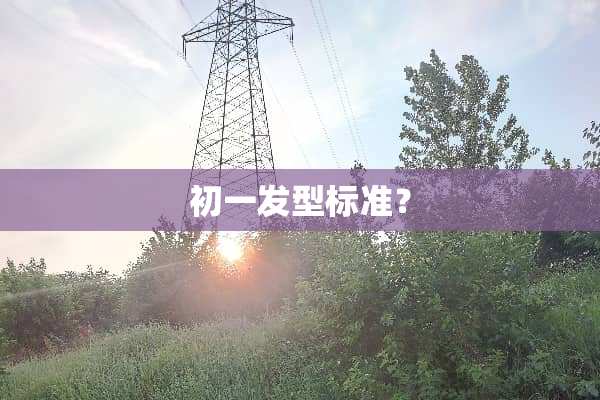 初一发型标准？