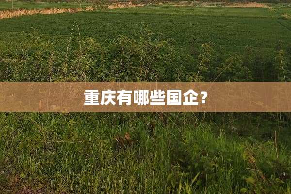 重庆有哪些国企？