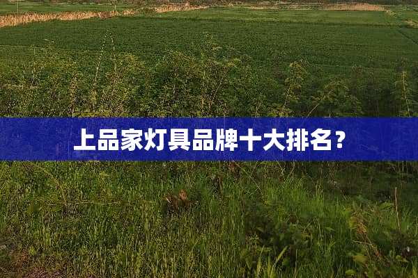 上品家灯具品牌十大排名？