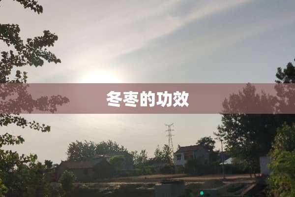 冬枣的功效
