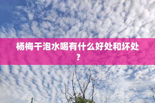 杨梅干泡水喝有什么好处和坏处？