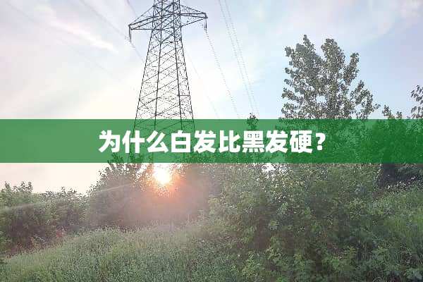 为什么白发比黑发硬？
