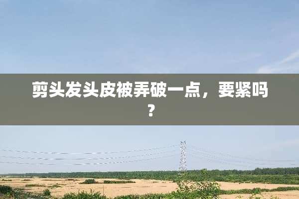 剪头发头皮被弄破一点，要紧吗？