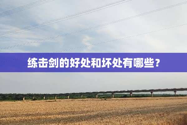 练击剑的好处和坏处有哪些？