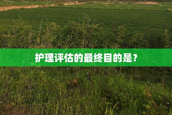 护理评估的最终目的是？