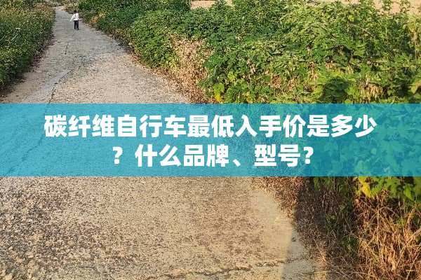 碳纤维自行车最低入手价是多少？什么品牌、型号？