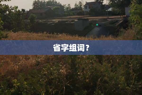 省字组词？