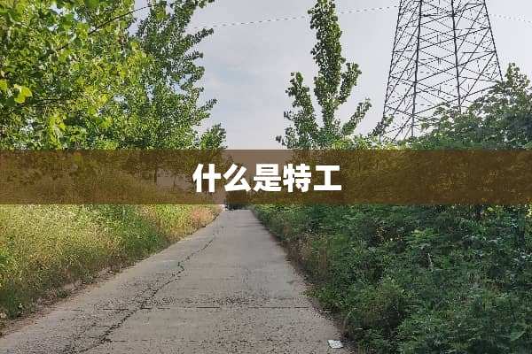 什么是特工