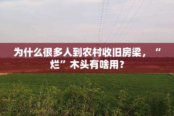 为什么很多人到农村收旧房梁，“烂”木头有啥用？