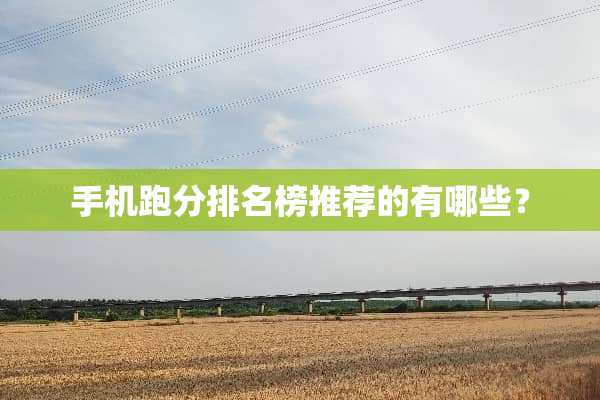 手机跑分排名榜推荐的有哪些？