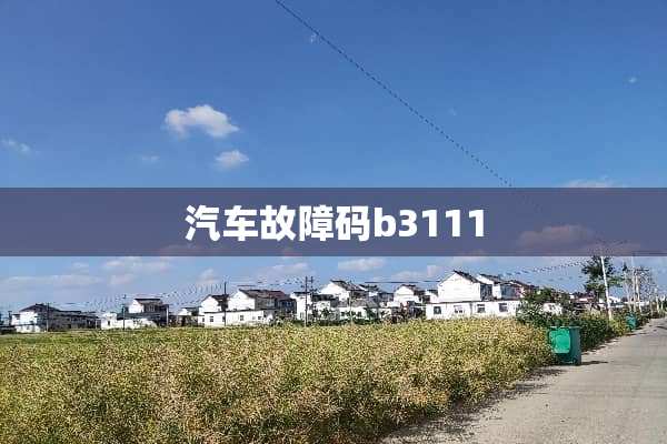 汽车故障码b3111