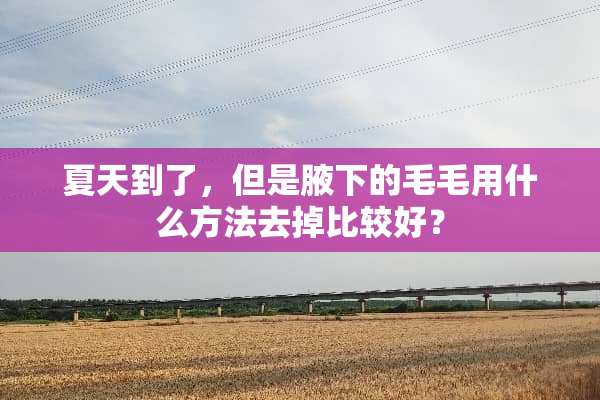 夏天到了，但是腋下的毛毛用什么方法去掉比较好？