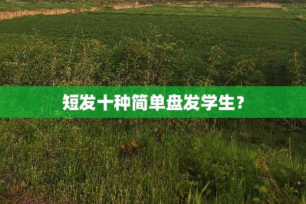 短发十种简单盘发学生？