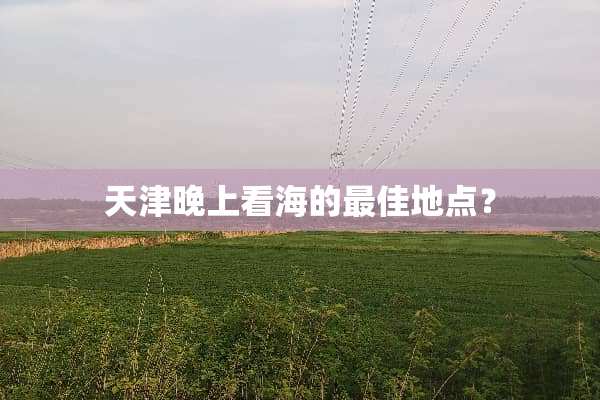 天津晚上看海的最佳地点？