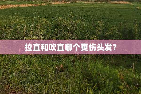 拉直和吹直哪个更伤头发？