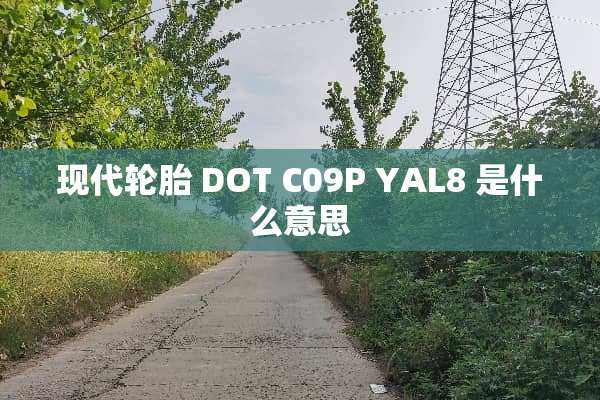 现代轮胎 DOT C09P YAL8 是什么意思