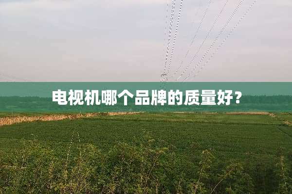 电视机哪个品牌的质量好？