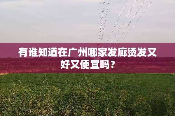 有谁知道在广州哪家发廊烫发又好又便宜吗？