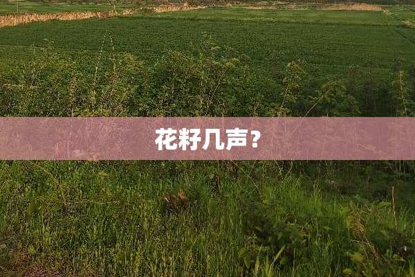 花籽几声？