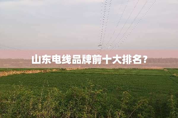 山东电线品牌前十大排名？