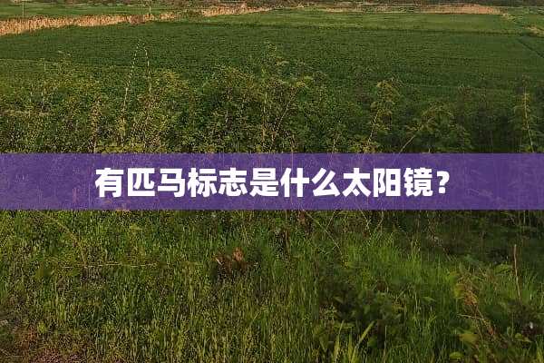 有匹马标志是什么太阳镜？