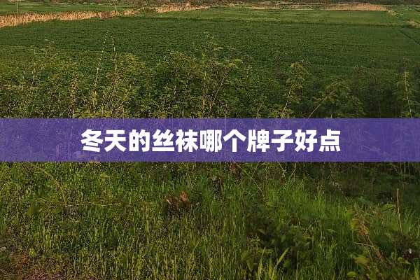冬天的**哪个牌子好点