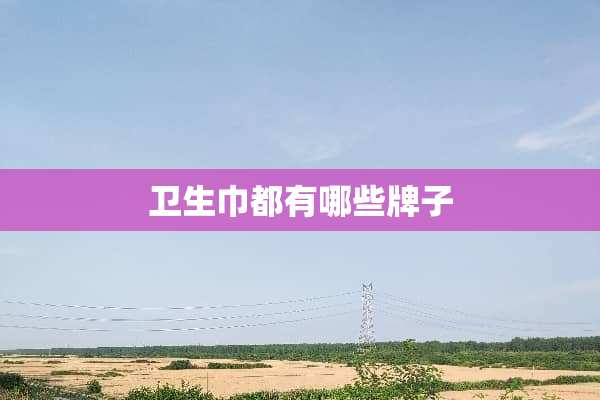 卫生巾都有哪些牌子