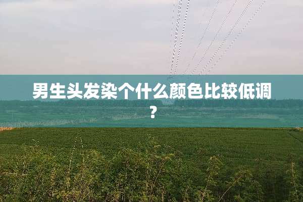 男生头发染个什么颜色比较低调？