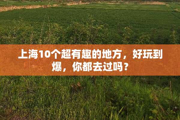 上海10个超有趣的地方，好玩到爆，你都去过吗？