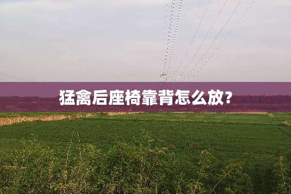 猛禽后座椅靠背怎么放？