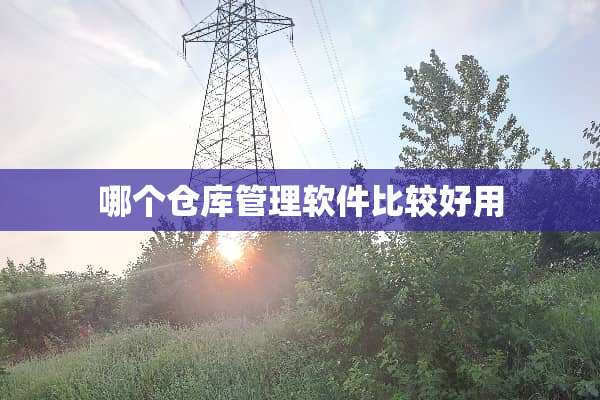 哪个仓库管理软件比较好用