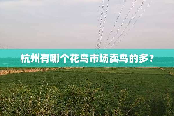 杭州有哪个花鸟市场卖鸟的多？