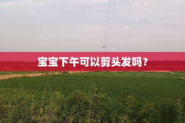宝宝下午可以剪头发吗？