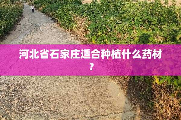 河北省石家庄适合种植什么药材？
