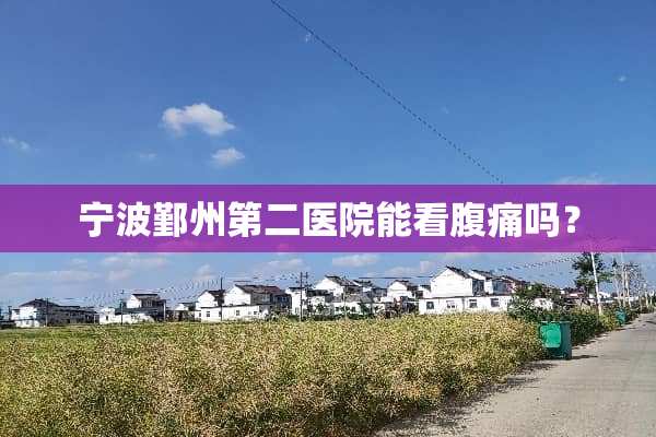 宁波鄞州第二医院能看腹痛吗？