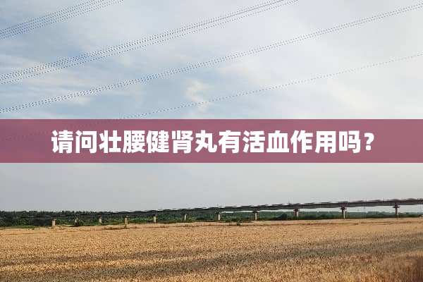 请问壮腰健肾丸有活血作用吗？