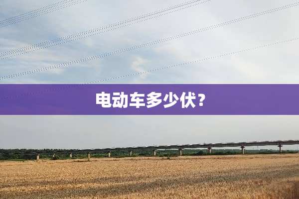 电动车多少伏？