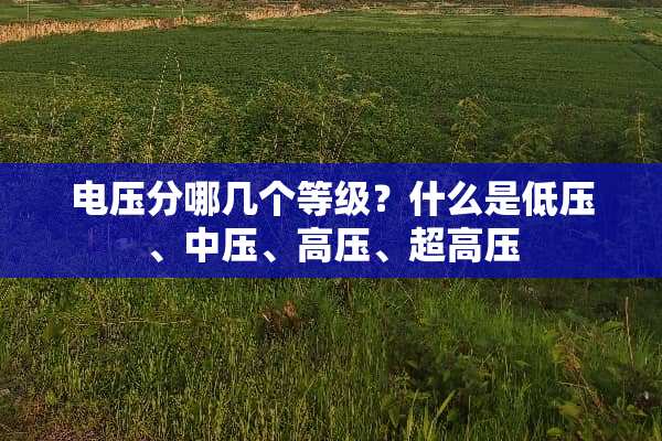 电压分哪几个等级？什么是低压、中压、高压、超高压
