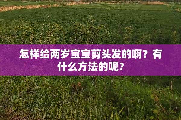 怎样给两岁宝宝剪头发的啊？有什么方法的呢？