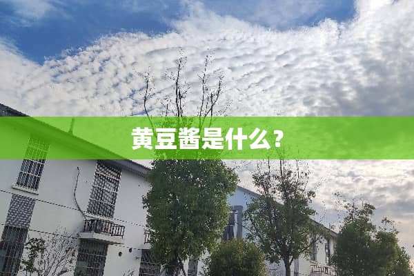 黄豆酱是什么？