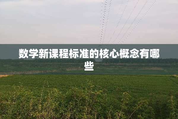 数学新课程标准的核心概念有哪些