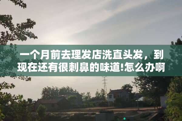一个月前去理发店洗直头发，到现在还有很刺鼻的味道!怎么办啊？