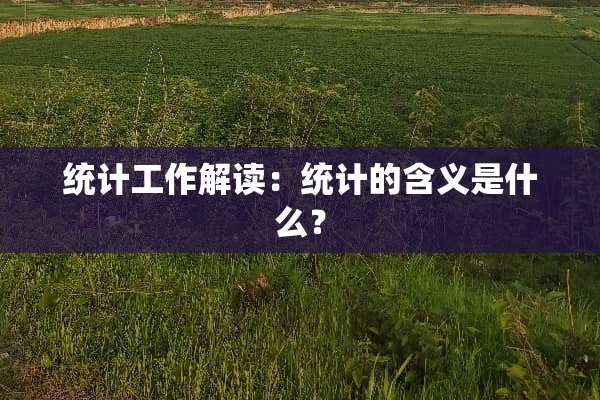 统计工作解读：统计的含义是什么？