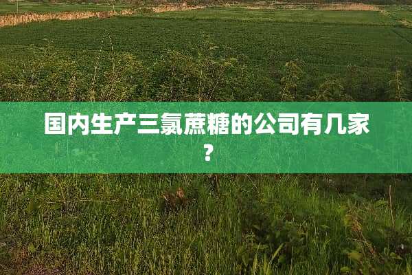 国内生产三氯蔗糖的公司有几家？