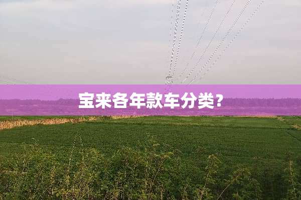 宝来各年款车分类？