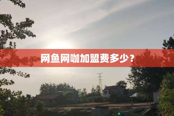 网鱼网咖加盟费多少？