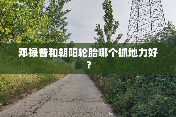 邓禄普和朝阳轮胎哪个抓地力好？