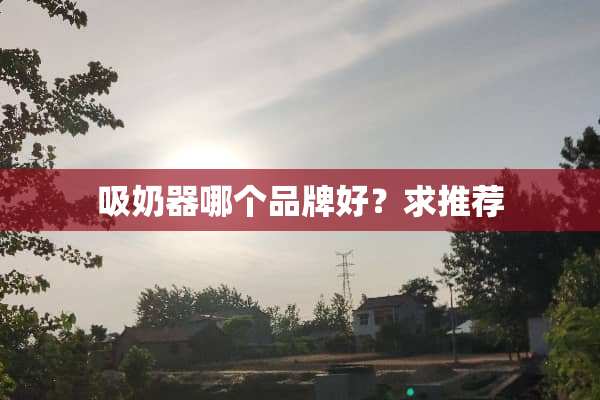 吸奶器哪个品牌好？求推荐