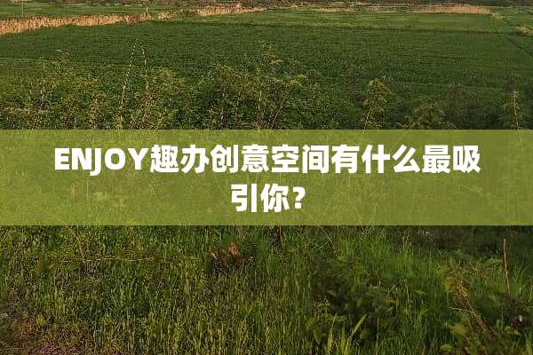 ENJOY趣办创意空间有什么最吸引你？