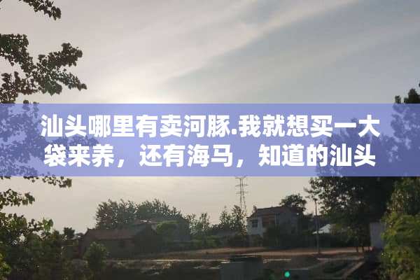 汕头哪里有卖河豚.我就想买一大袋来养，还有海马，知道的汕头哥弟们告诉一声？